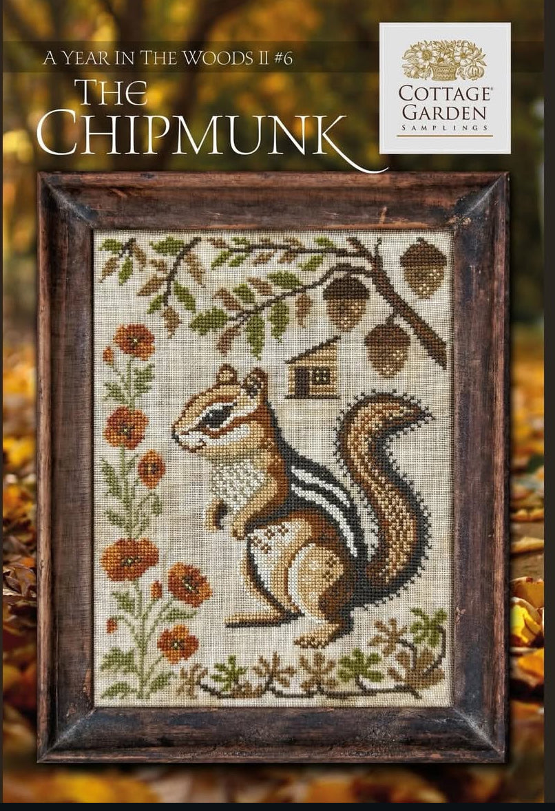 A Year In The Woods II 6 - The Chipmunk