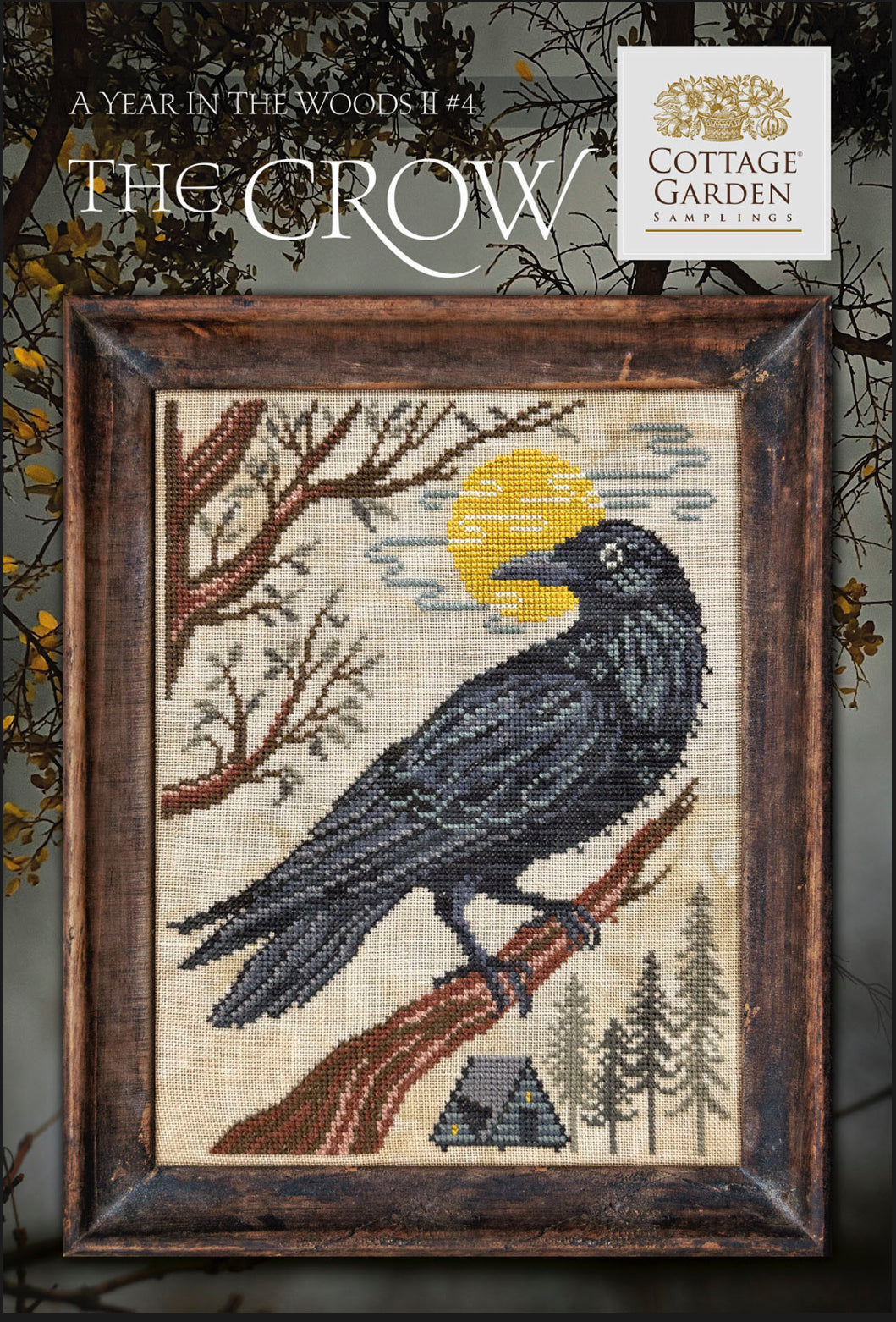 A Year In The Woods II 4 - The Raven