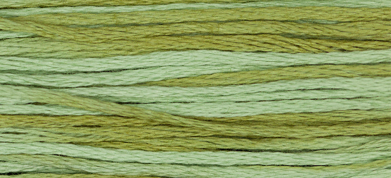 WDW 1191 Dried Sage