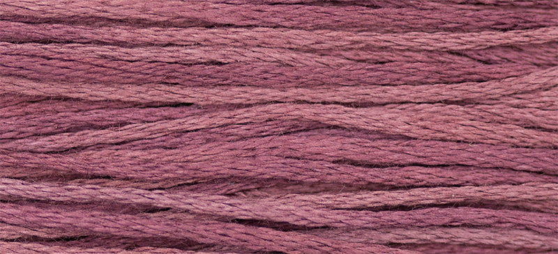 WDW 1323 Cranberry Ice
