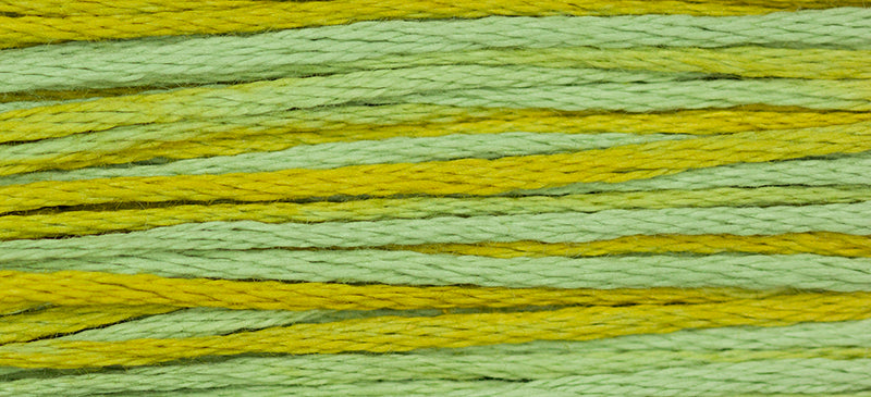 WDW 2206 Pistachio