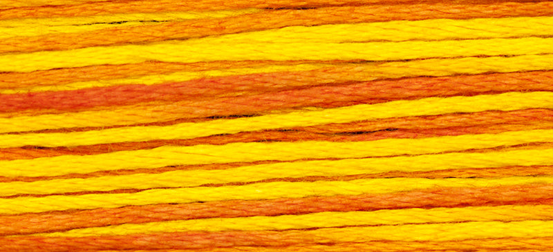 WDW 2233 Hot Rod
