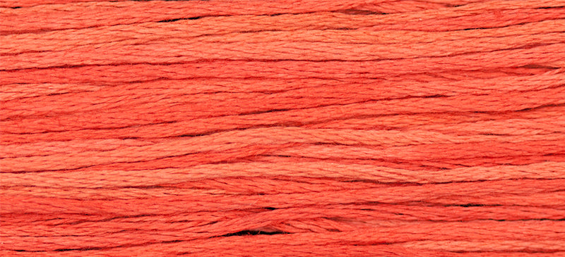 WDW 2244 Grenadine