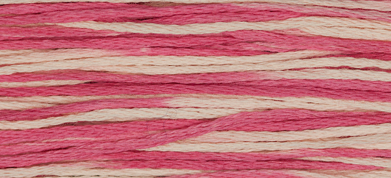 WDW 2248 Cherry Vanilla