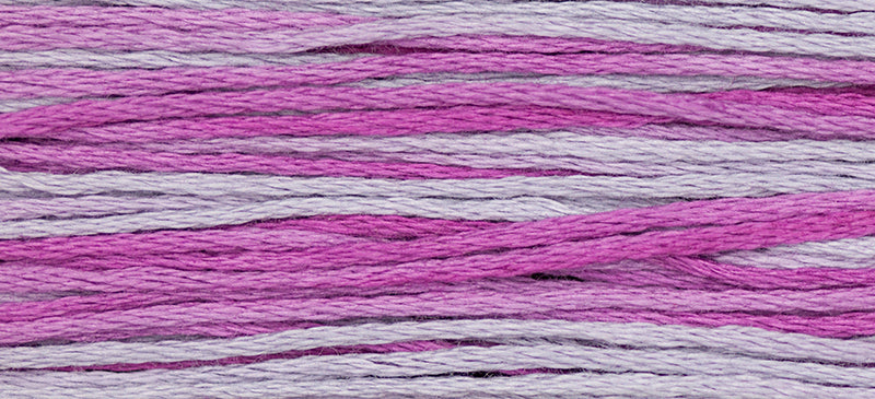 WDW 2291 Sugar Plum