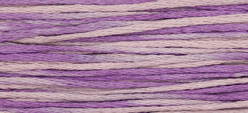 WDW 2296 Sweet Pea