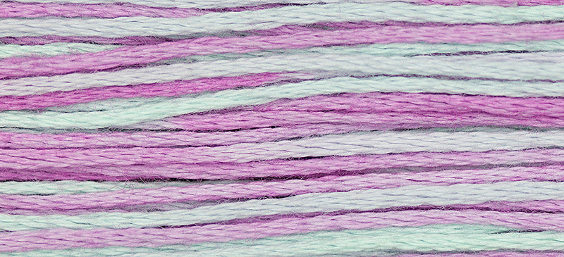 WDW 2306 Blue Aster