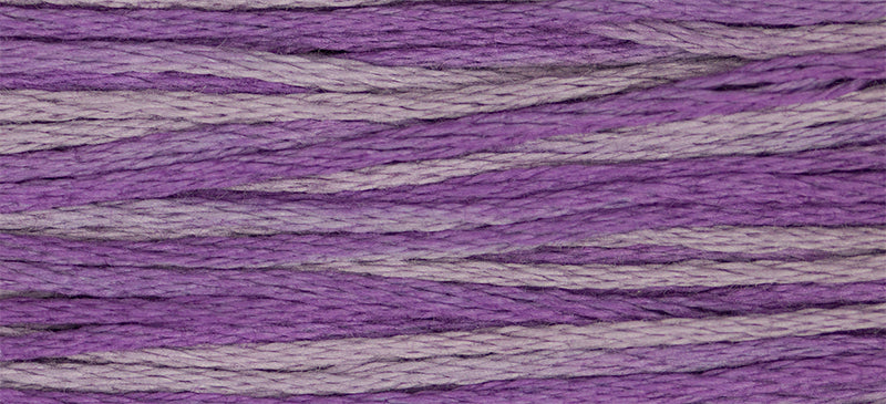 WDW 2316 Iris