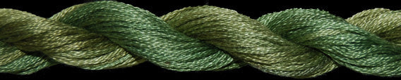 TWX 5 Yard 1069 Spanish Olives