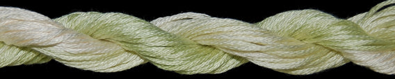 TWX 20 Yard 10812 Romantic Lace