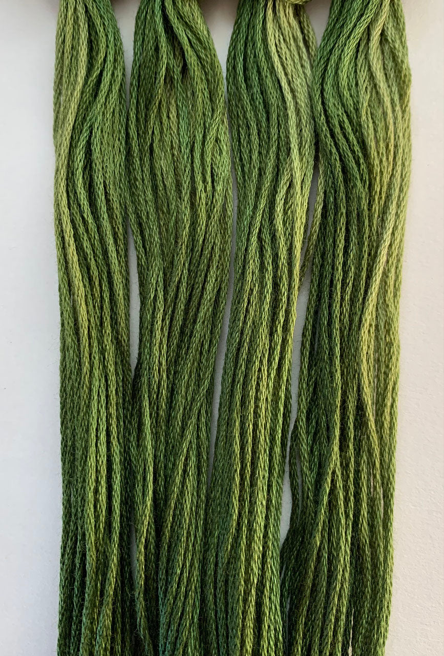 Vert Anglais