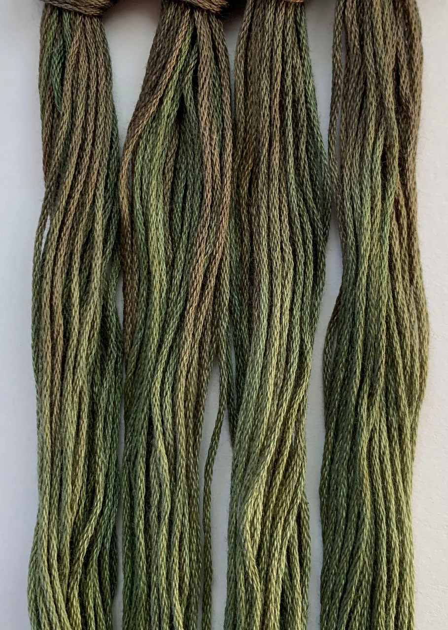 Vert Manon