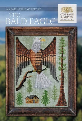 A Year In The Woods 7 - The Bald Eagle