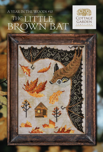 A Year In The Woods 10 - The Little Brown Bat