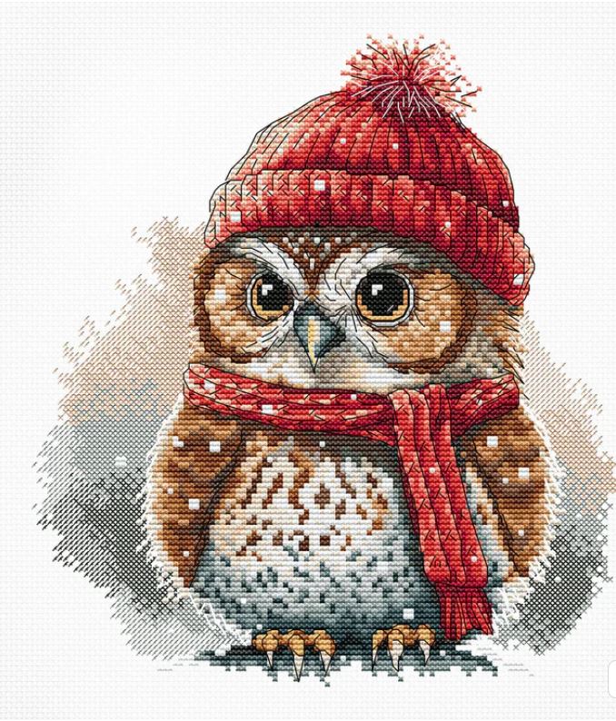 P009 Owl