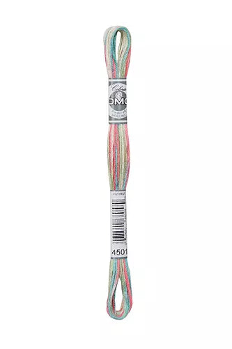 DMC Coloris 4501