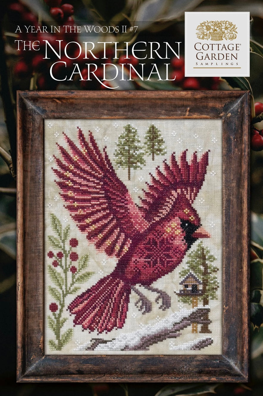 A Year In The Woods II 7 - The Northern Cardinal