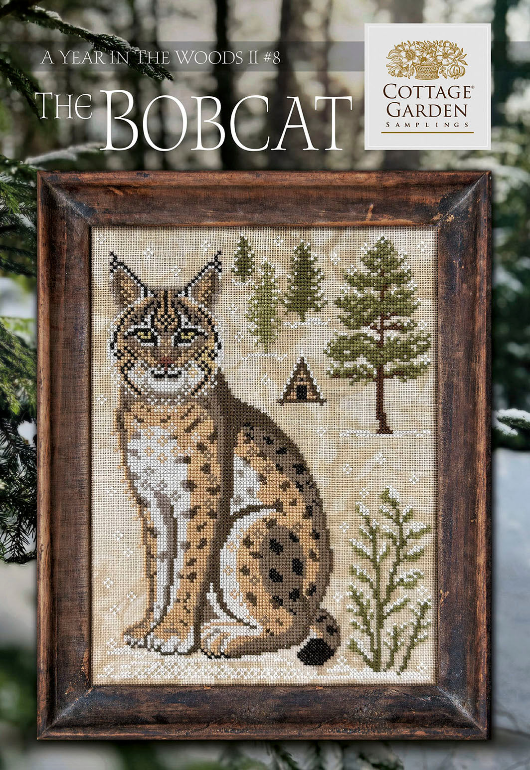 A Year In The Woods II 8 - The Bobcat