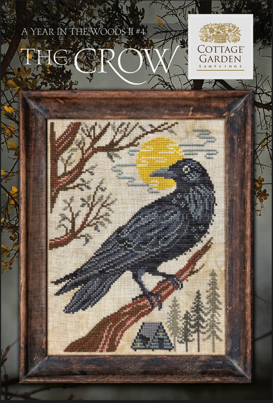 A Year In The Woods II 4 - The Raven
