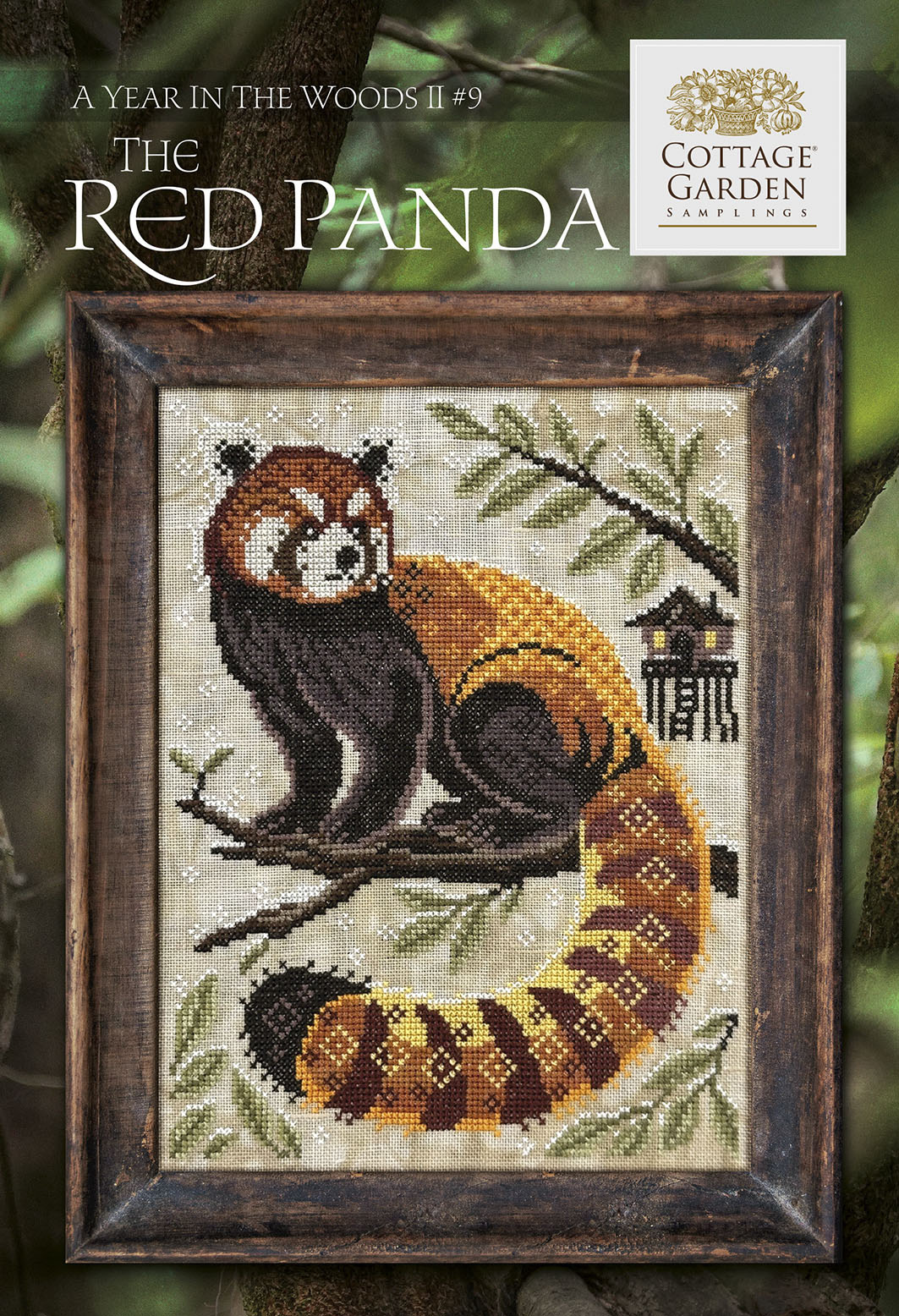 A Year In The Woods II 9 - The Red Panda