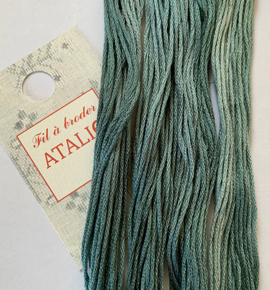 Eucalyptus