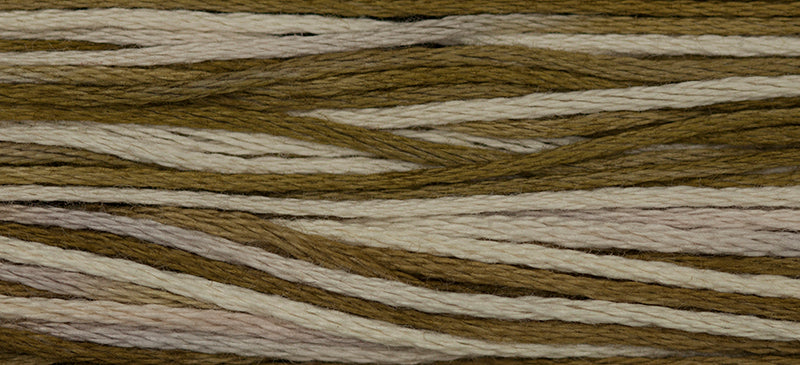 WDW 1211 White Walnut