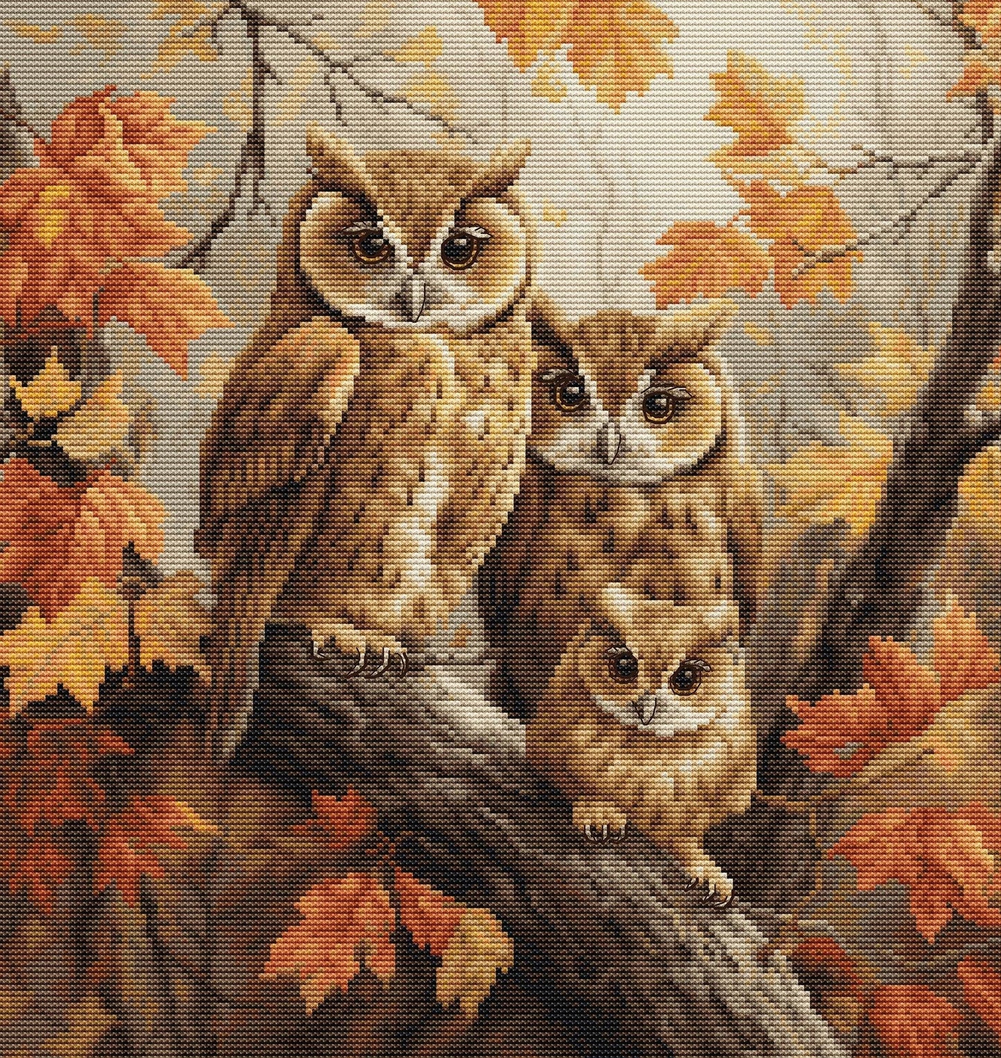 BU5045 The Owl’s Family