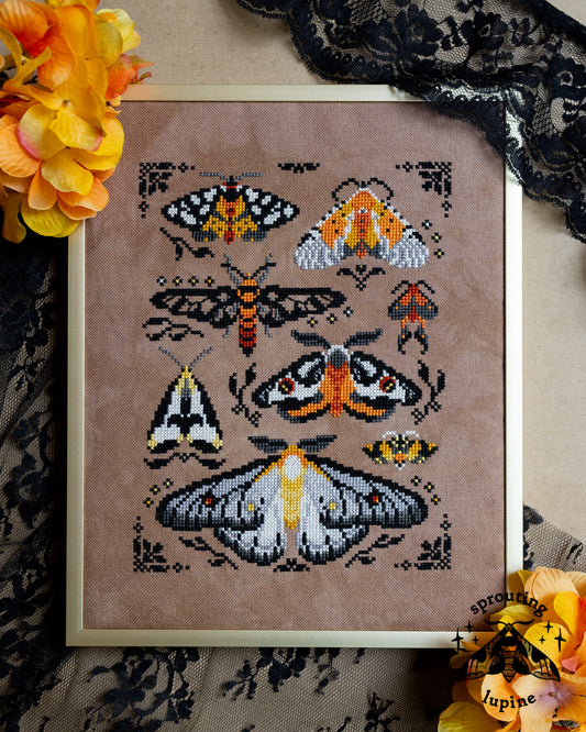 Ochre Wings