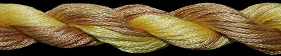TWX 20 Yard 10281 Pirates Gold