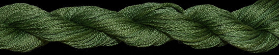TWX 5 Yard 10490 English Ivy
