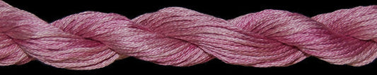 TWX 5 Yard 10810 Williamsburg Rose