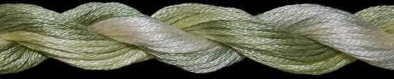 TWX 5 Yard 1082 Cabbage