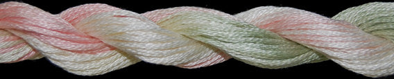 TWX 5 Yard 1095 Cactus Flowers