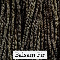 Balsam Fir